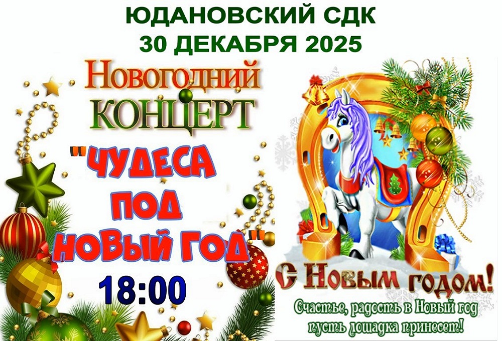 Новогодний концерт.Юдановский СДК